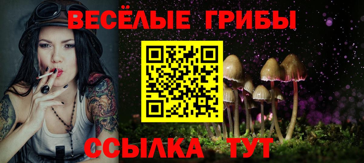 Псилоцибиновые грибы мицелий  Вход с VPN  Галлюциногенные грибы мухоморы  Ставрополь 